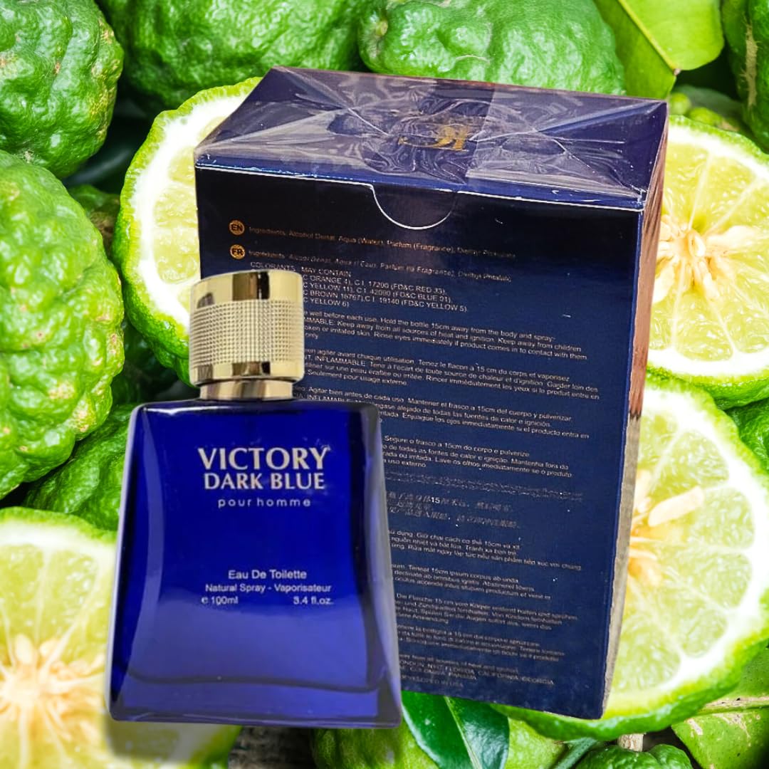 Victory Dark Blue Cologne for Men - 3.4oz - Inspired by Ver. Dylan Blues